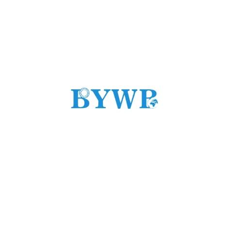 BYWB  Bearing